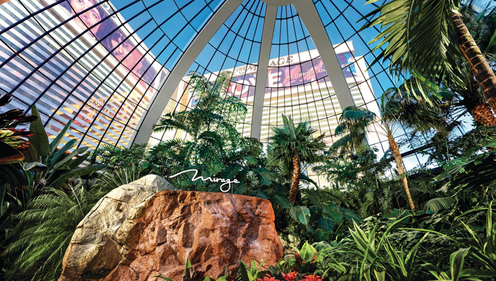 Image showing the isnide of the mirage resort pool area